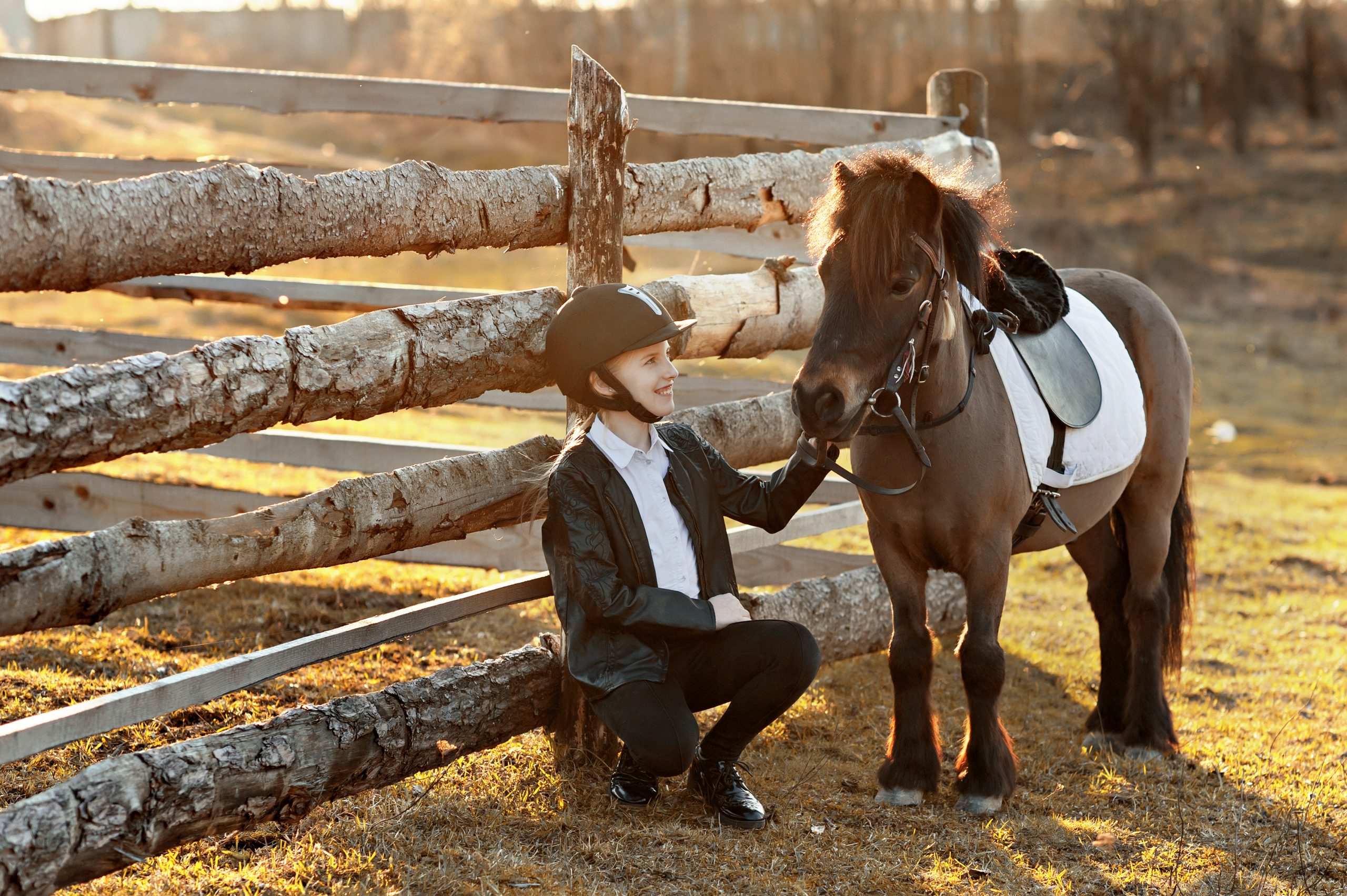 Quel équipement nécessaire pour votre cheval