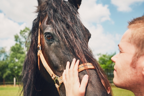 Communiquer avec son cheval